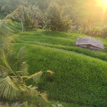 Gunza Bed And Breakfast Jatiluwih Exterior foto