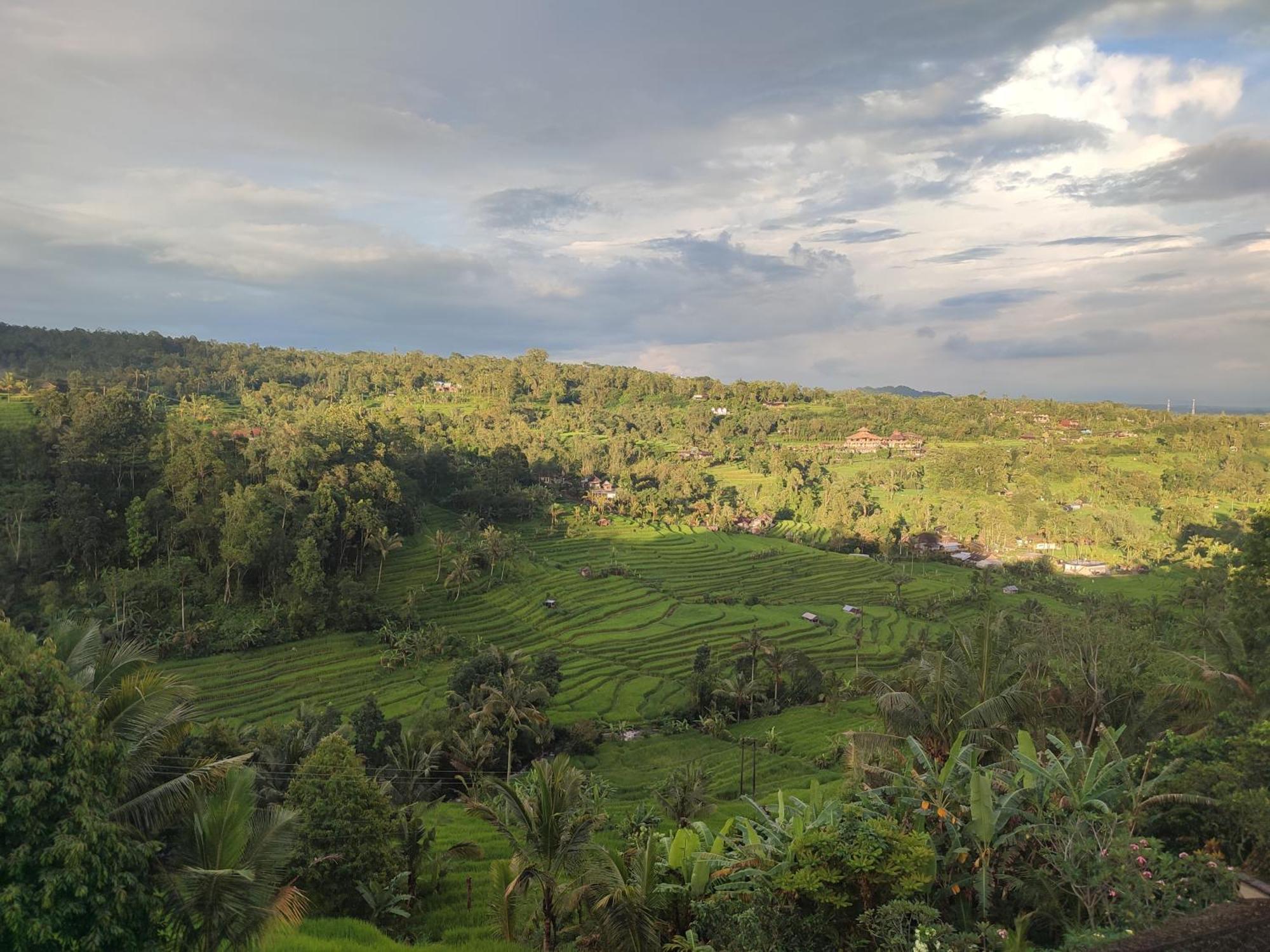 Gunza Bed And Breakfast Jatiluwih Exterior foto