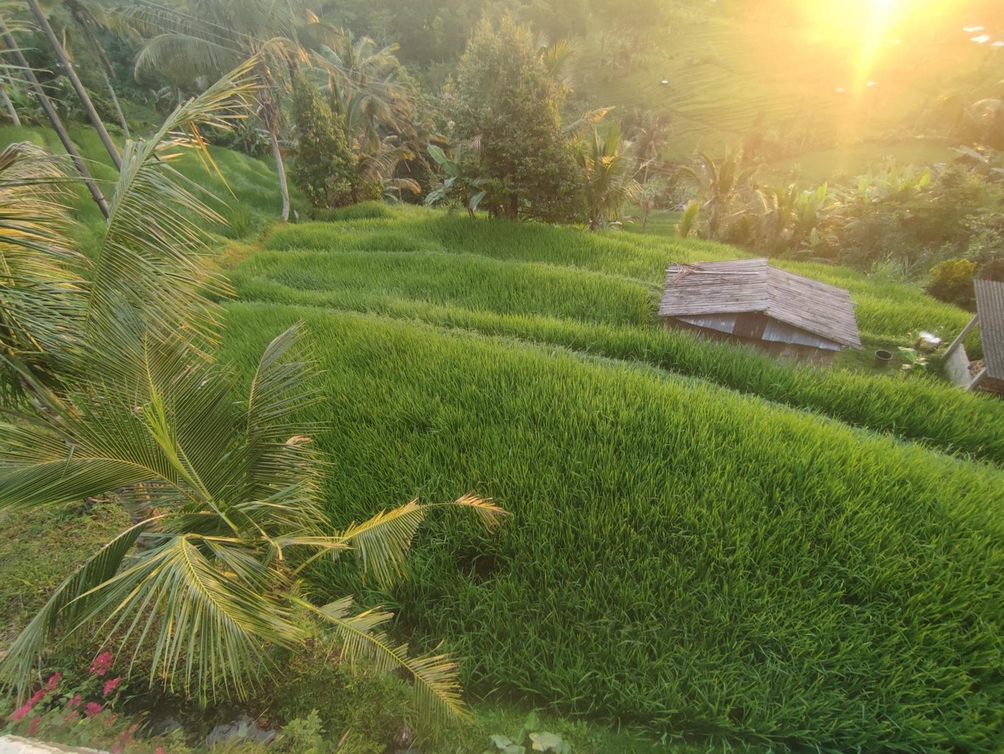 Gunza Bed And Breakfast Jatiluwih Exterior foto